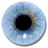 Visuwords