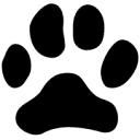 国际雪豹基金会